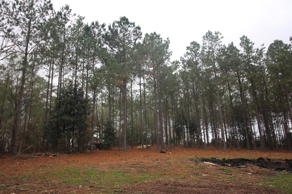 0 Hines Rd, Laurel, MS 39443 - photo 1