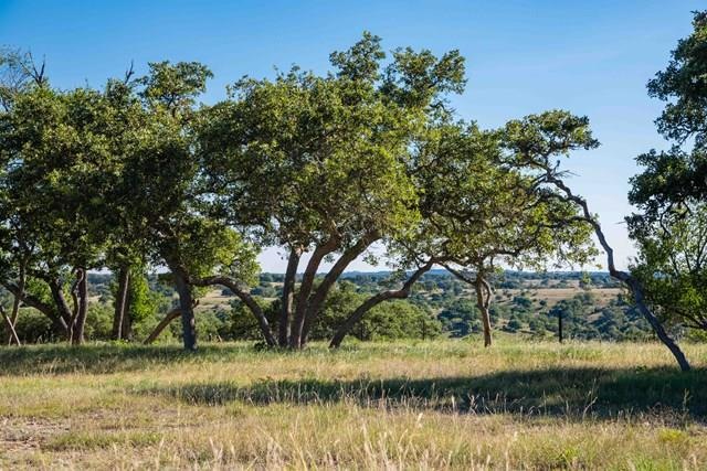 0 Last Trail unit 74092, Fredericksburg, TX 78624 - photo 1