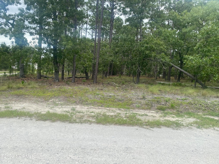 Sold $33,000 • Co-Listing Agent