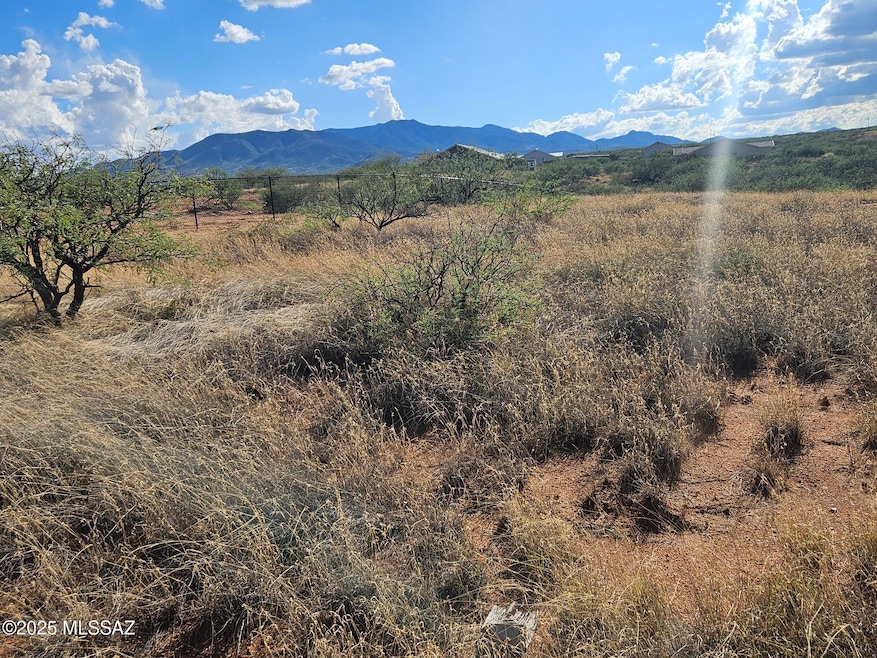 0 S Canyon Overlook Trail unit 22524662, Benson, AZ 85602 - photo 1