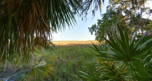 420 Pikes Bluff Drive (Lot 214), St. Simons Island, GA 31522 - photo 1