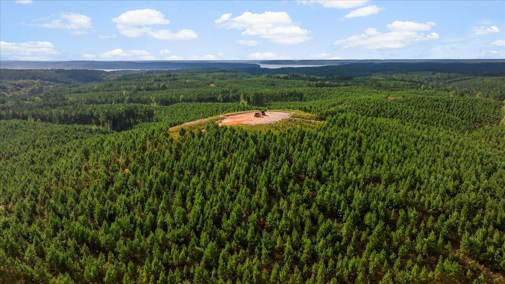 0 Fox Ln, Savannah, TN 38372 - photo 1