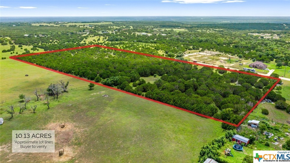 10.131 acres Hawk Ln, Kempner, TX 76539 - photo 1