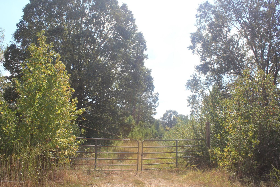 Primary Photo