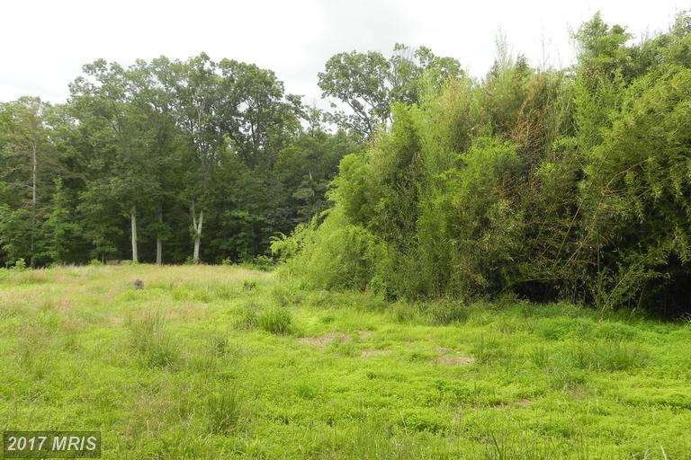 24291 Stone Springs Blvd, Sterling, VA 20166 - photo 1