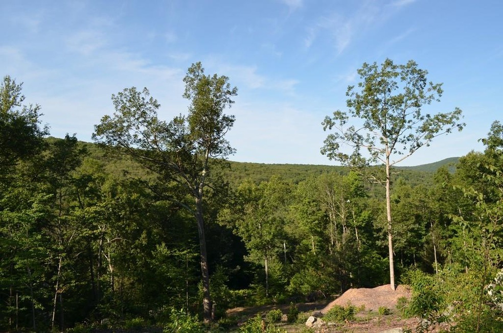 Lot 6 Bradway Rd, Monson, MA 01057 - photo 1