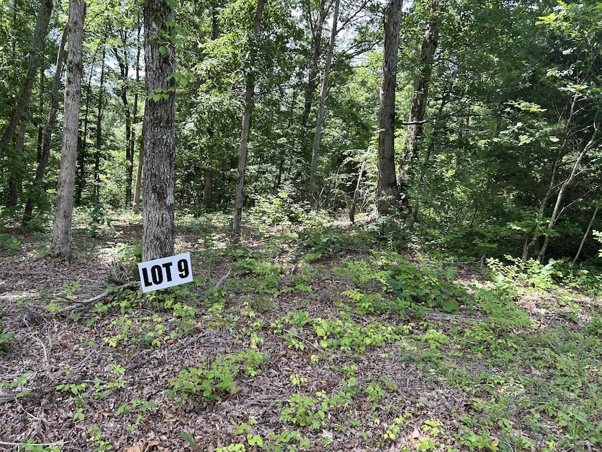 0 Slaughter Rd unit RTC3017612, Primm Springs, TN 38476 - photo 1