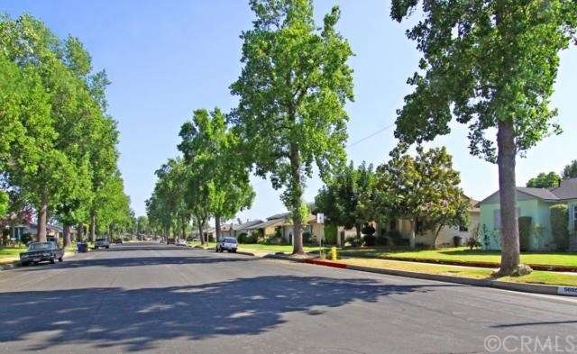 Peaceful tree lined street, with ample street park
