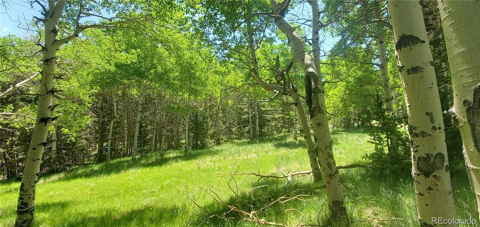 Lot 3085 Henderson Dr unit 3085, Fort Garland, CO 81133 - photo 1