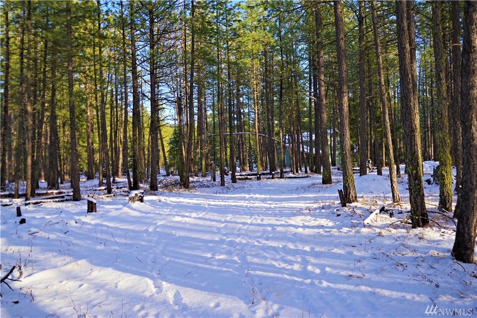 10 Winston Rd, Ronald, WA 98940 - photo 1