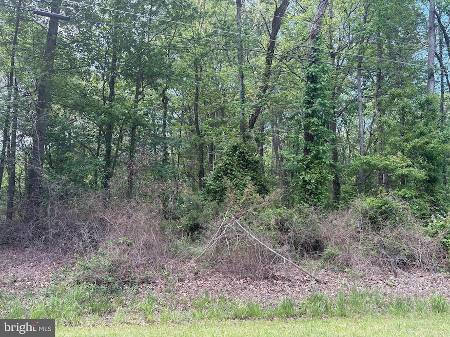 0 Lenapah Rd, Chestertown, MD 21620 - photo 1