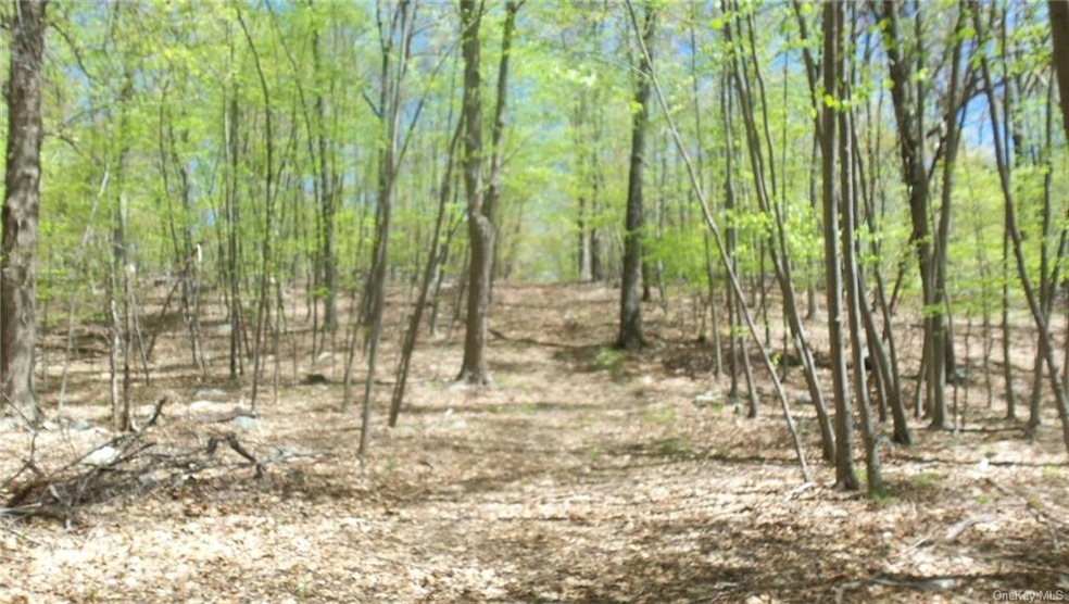 0 Canopus Hill Rd unit H4924865, Putnam Valley, NY 10579 - photo 1