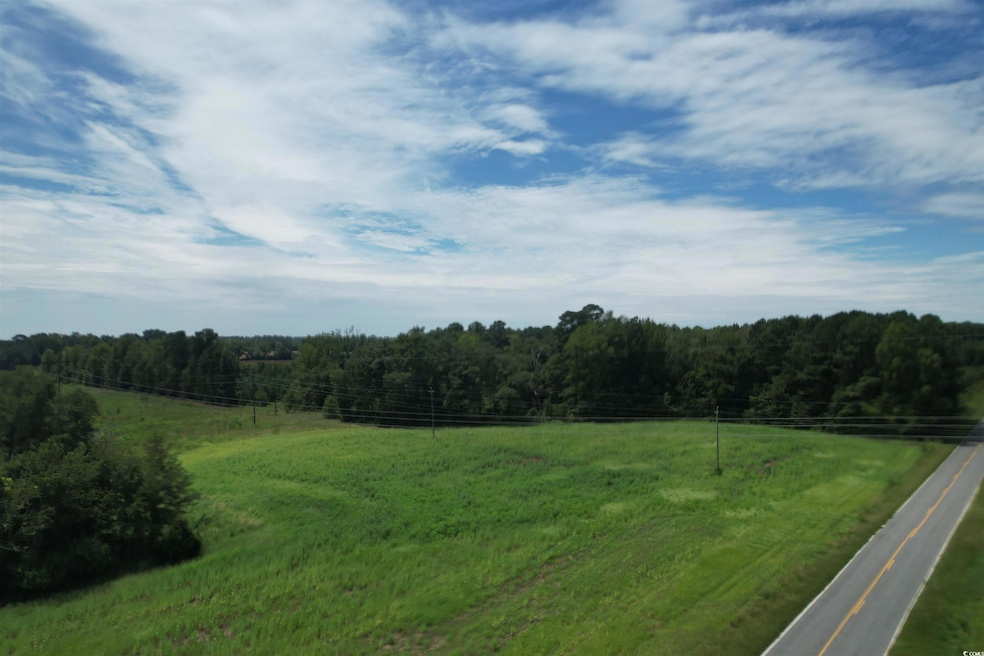 View of grassy yard featuring a view of rural / pastoral area and a view of trees