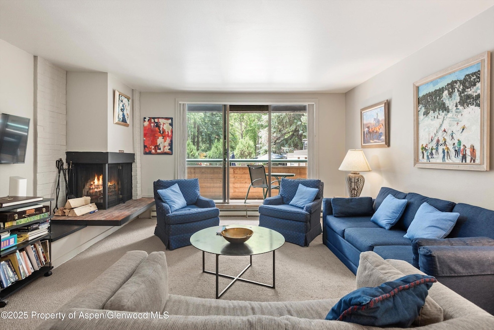 1024 E Hopkins Ave unit 16, Aspen, CO 81611 - photo 1