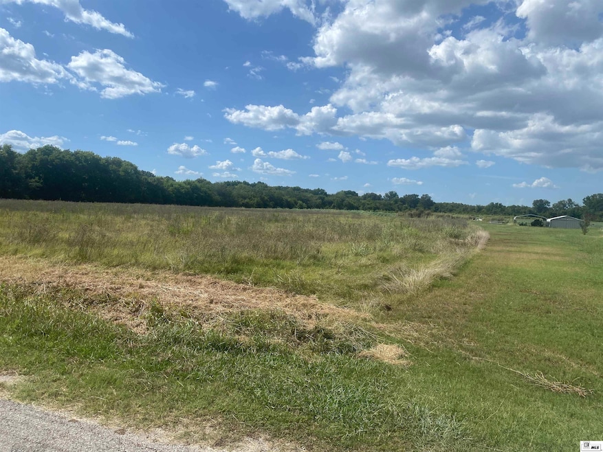 0 Mitchner Rd unit 3+-acres tract B, Alto, LA 71269 - photo 1