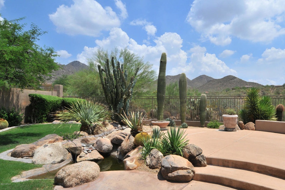 Backyard View
