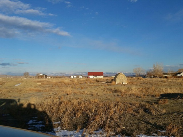 Main View