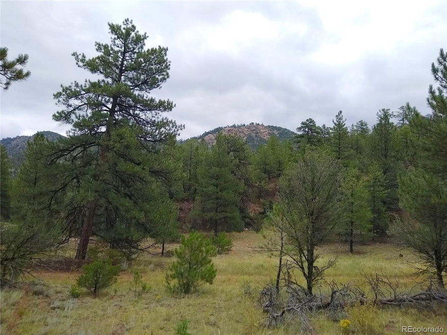 000 Gold Pan Trail, Cotopaxi, CO 81223 - photo 1