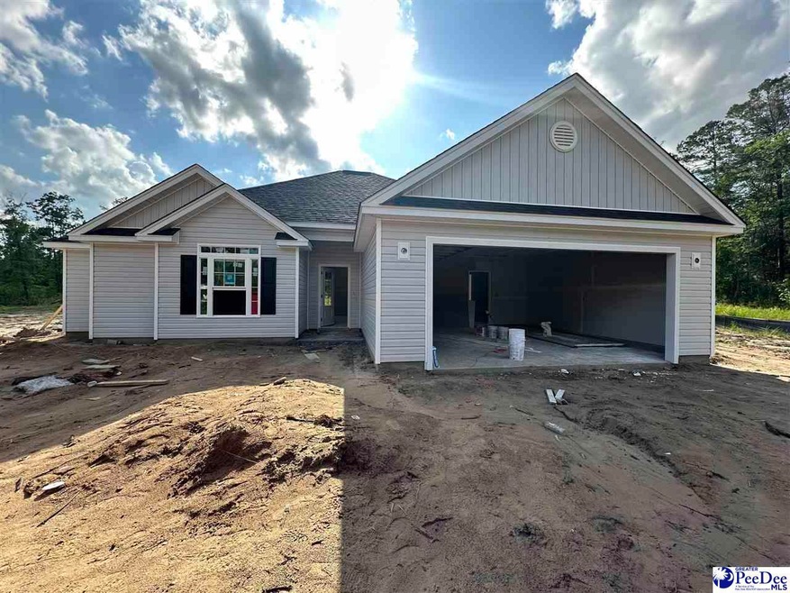 480 Cane Branch Rd, Loris, SC 29569 - photo 1