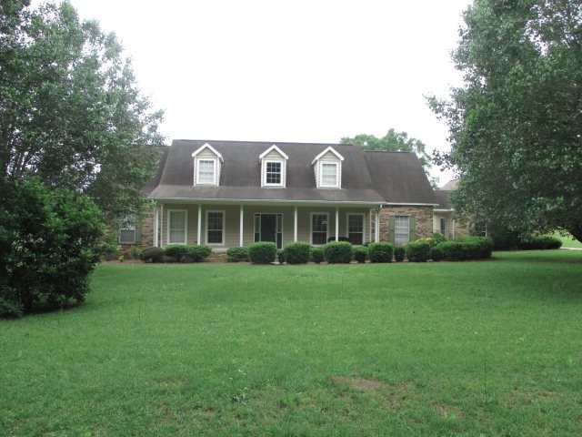 Main View