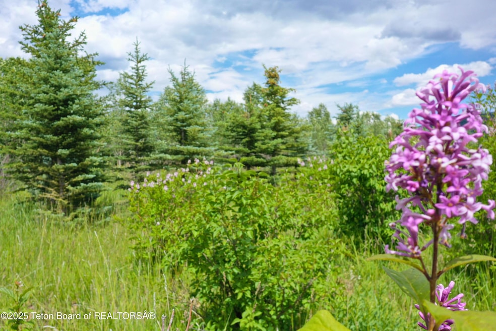 For Sale $1,200,000 • Co-Listing Agent