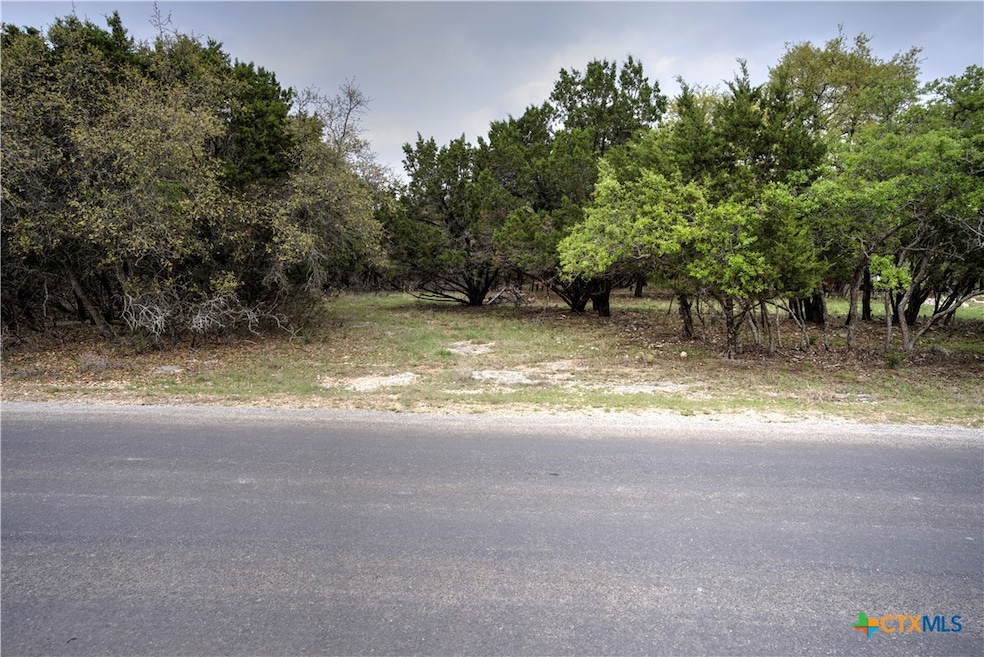 15920 Charlya Dr, Temple, TX 76502 - photo 1