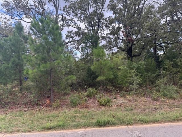 00 Meadowlake Rd, Conway, AR 72032 - photo 1