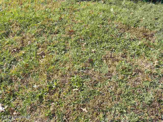 213 Fairfield Hill Rd, Bloomfield, KY 40008 - photo 1