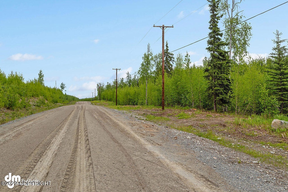 4571 S Preston Hills Dr, Big Lake, AK 99623 - photo 1