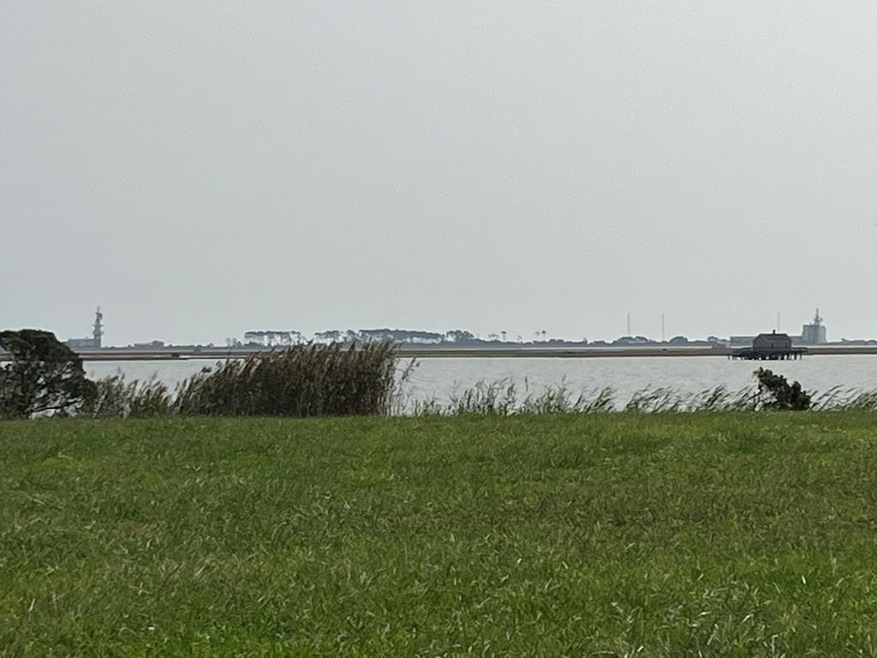 Main View