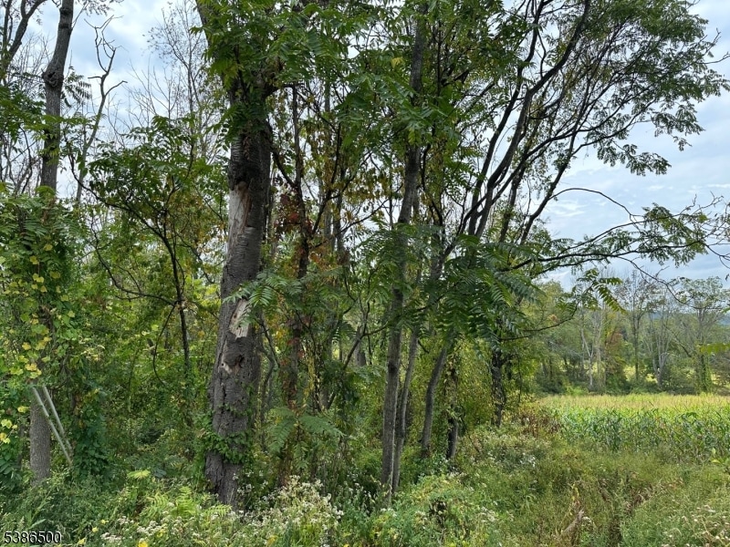 393 Mountain Lake Rd, Great Meadows, NJ 07838 - photo 1