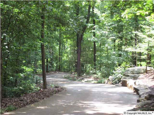 2911 Green Mountain Rd SE, Huntsville, AL 35803 - photo 1