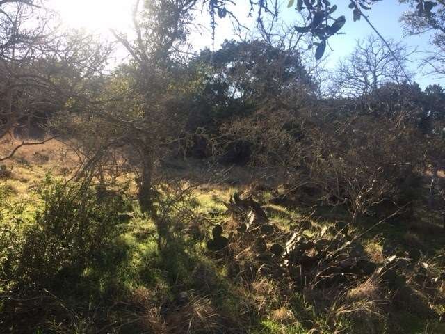 Located in a cul-de-sac, this level lot is great f