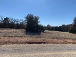 231 Cottongame Dr, Weatherford, TX 76088 - photo 1