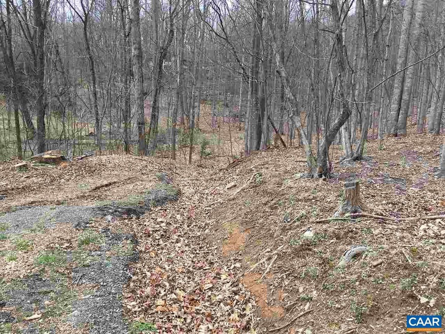 299 Crawfords Climb unit 32, Nellysford, VA 22958 - photo 1