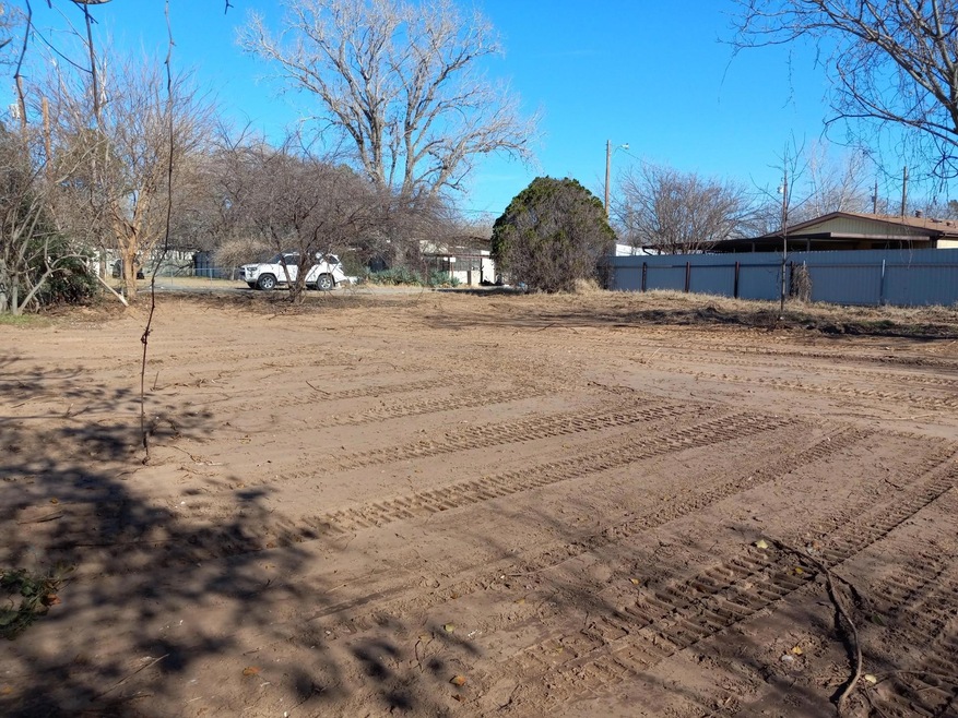 4009 Diann Dr, Granbury, TX 76049 - photo 1