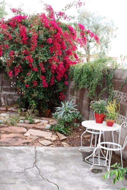 Another view of lush patio area
