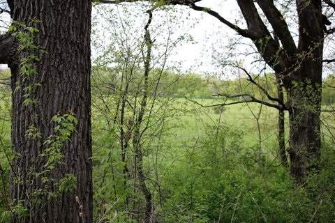 26 AC Hubred Ln, Cottage Grove, WI 53521 - photo 1