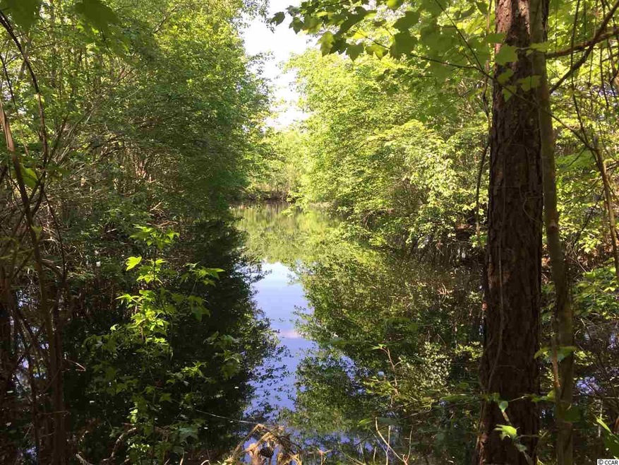 7230 Tracy Dr, Conway, SC 29526 - photo 1