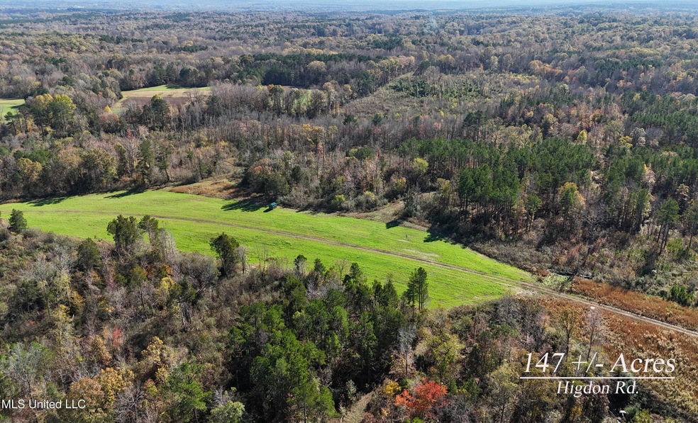 DJI_20241119130147_0110_D copy