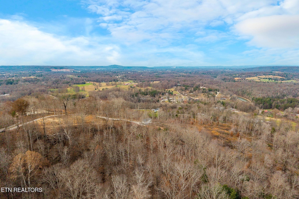 431 Bald Knob Mtn & Cummings Cove Rd, Doyle, TN 38559 - photo 1