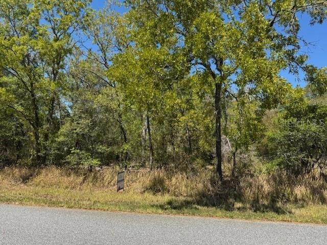 25 Elm Loop, Silver Springs Shores, FL 34472 - photo 1