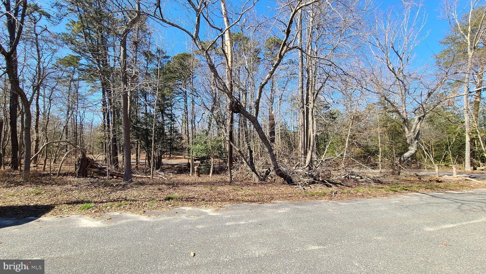 1001 NE Lakeshore Dr, Millville, NJ 08332 - photo 1