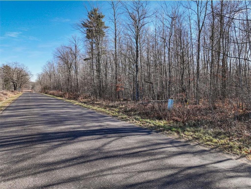 Lot 14 Peninsula Road Rd, Hayward, WI 54843 - photo 1