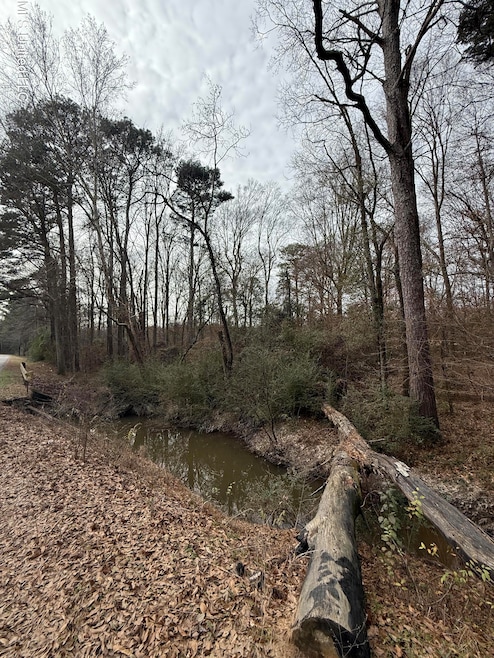 01 N Jordan St, Carthage, MS 39051 - photo 1