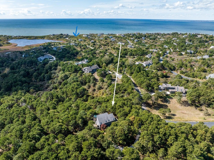 drone3 with beach