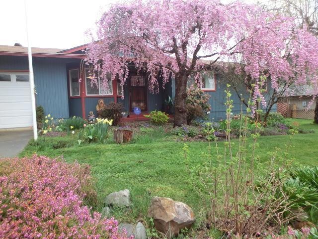 415 Placer St, Rogue River, OR 97537 - photo 1