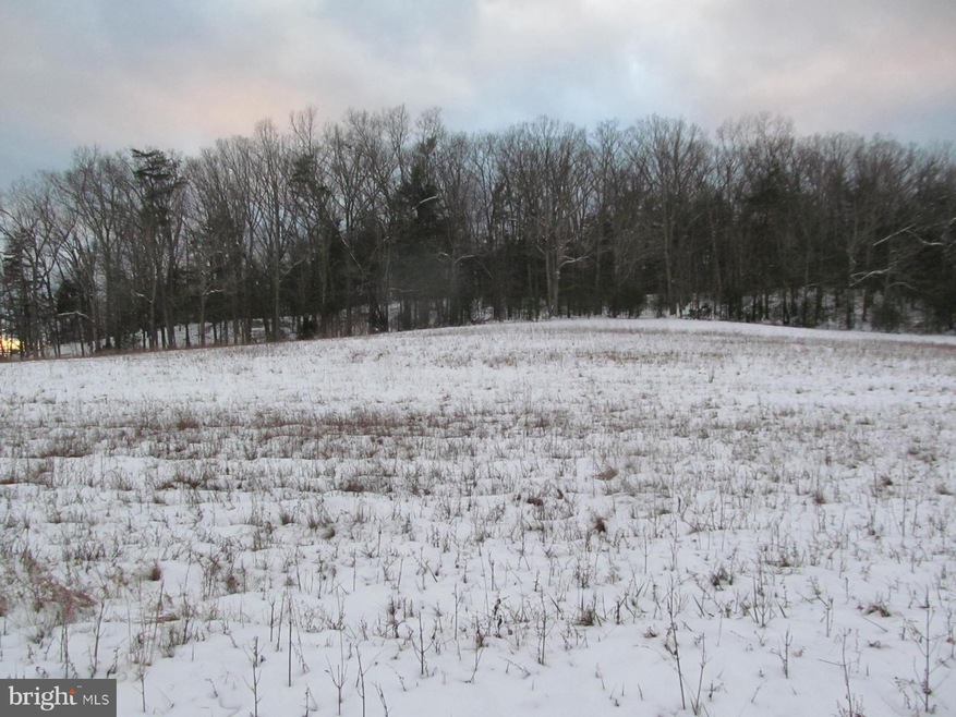 0 Dellinger Gap Rd unit VASH107484, Edinburg, VA 22824 - photo 1