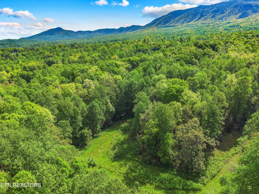 006-CountyLineRoad-TN-37725-SMALL