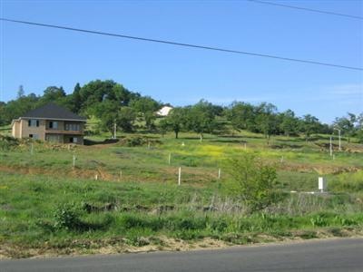 Primary Photo